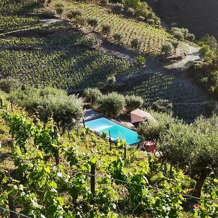 Quinta Das Fontainhas - Douro Valley Villa