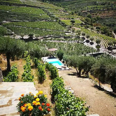 Quinta Das Fontainhas - Douro Valley Villa