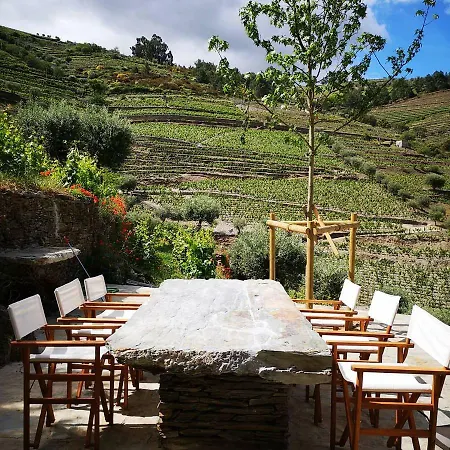Villa Quinta Das Fontainhas - Douro Valley Tabuaco