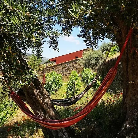 Quinta Das Fontainhas - Douro Valley Tabuaco