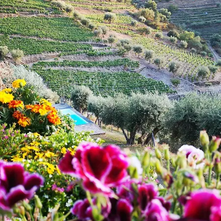 Quinta Das Fontainhas - Douro Valley Villa *