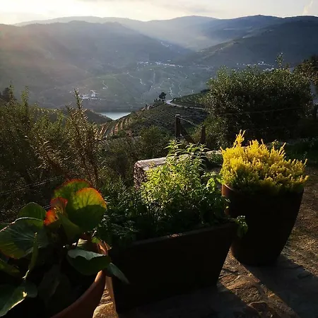 Quinta Das Fontainhas - Douro Valley Villa Tabuaco